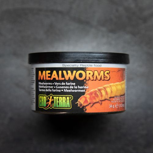 Mealworms