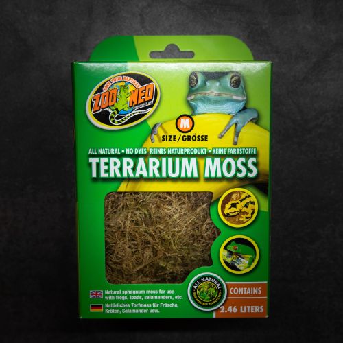 Terrarium Moss
