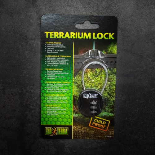 Cadenas pour terrarium
